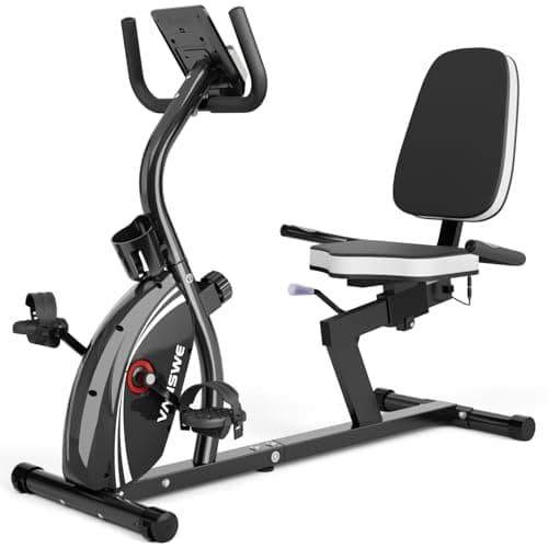 VANSWE Recumbent Exercise Bike RB661